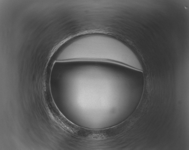 X0000085740536200703160906