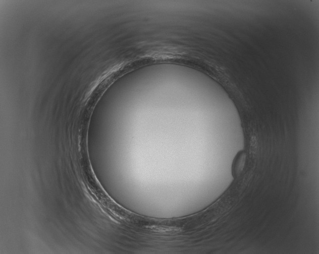 X0000085740539200703160906