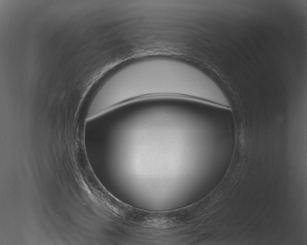 X0000085740540200703160906