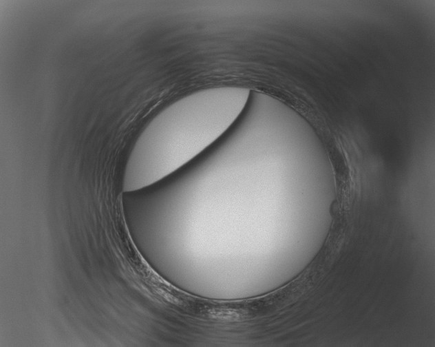 X0000085740549200703160906
