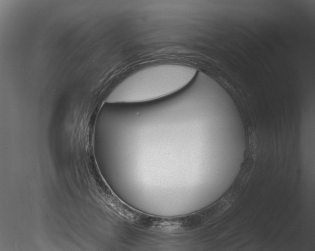 X0000085740554200703160906