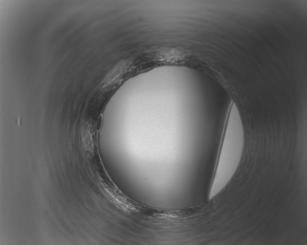 X0000085740572200703160906