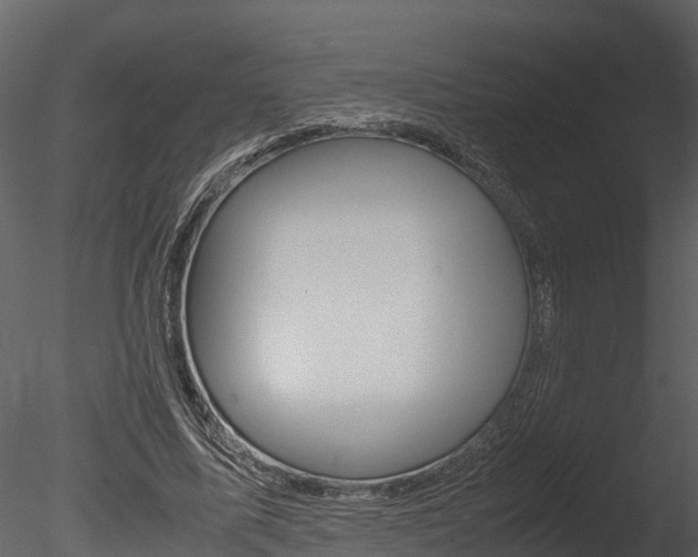 X0000085740587200703160905