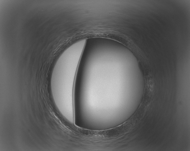 X0000085740593200703160905