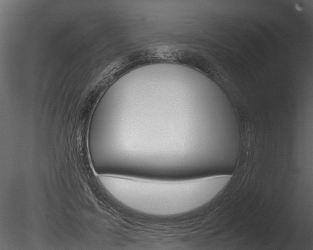 X0000085740595200703160905