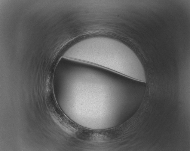 X0000085740596200703160905