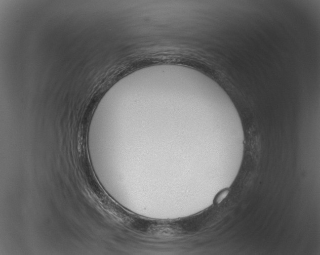 X0000085740597200703160905
