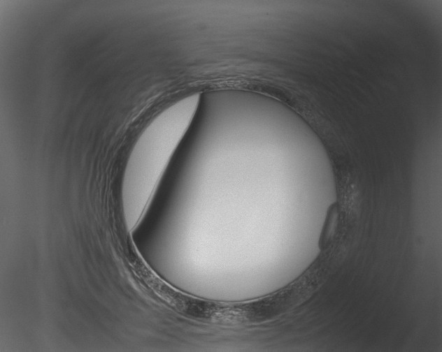 X0000085740599200703160905