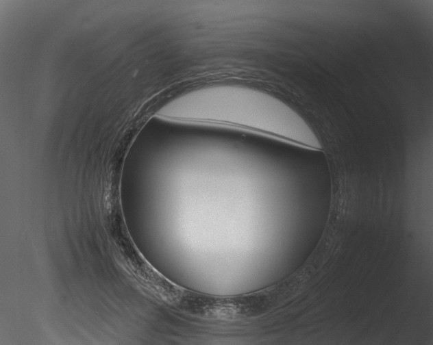 X0000085740600200703160905