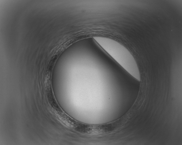X0000085740601200703160905