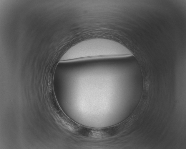 X0000085740605200703160905