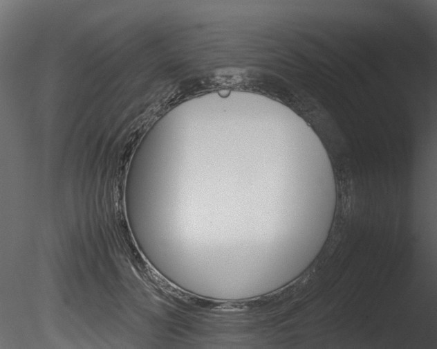 X0000085740606200703160905