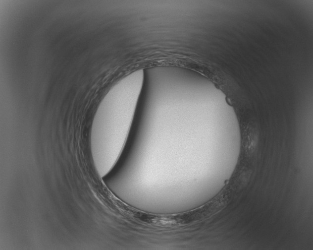 X0000085740607200703160905