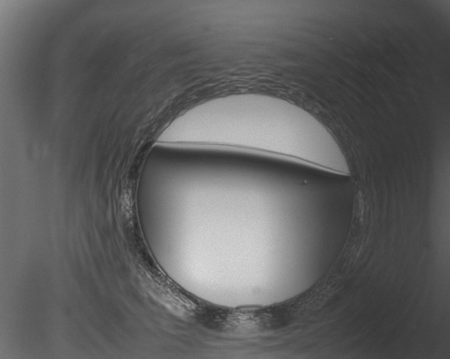 X0000085740613200703160905