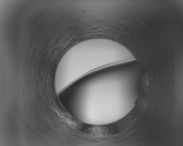 X0000085740615200703160905