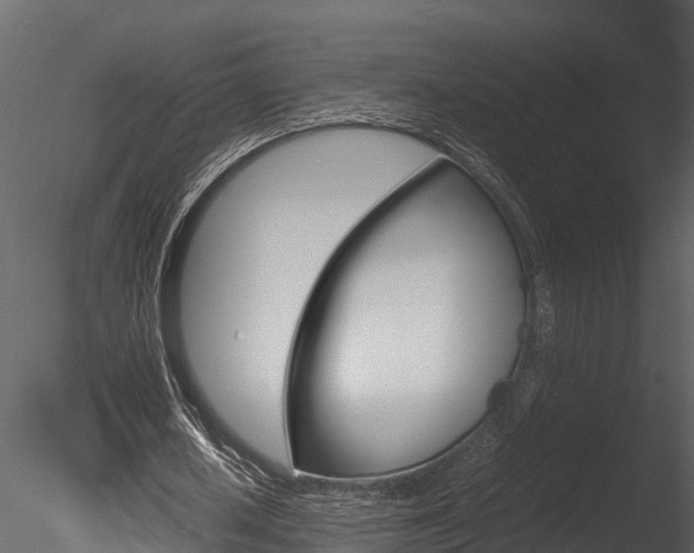 X0000085740626200703160904