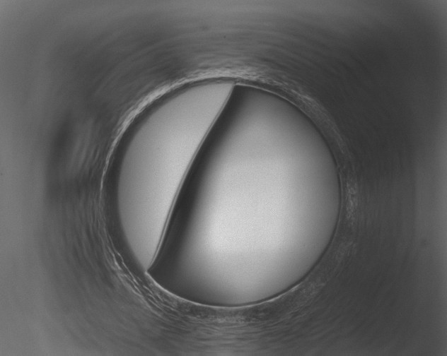 X0000085740628200703160904