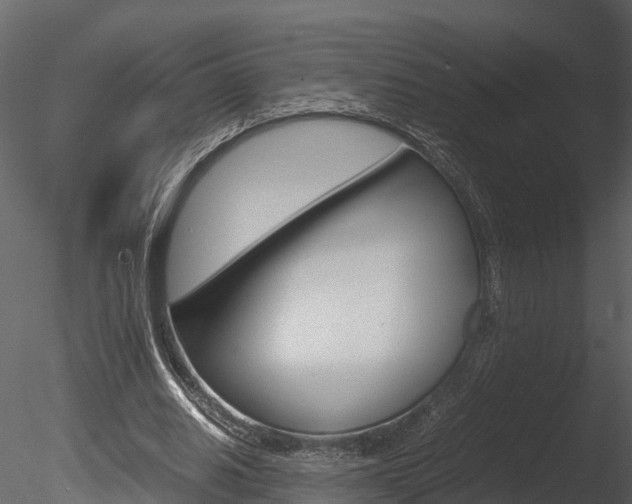 X0000085740630200703160904