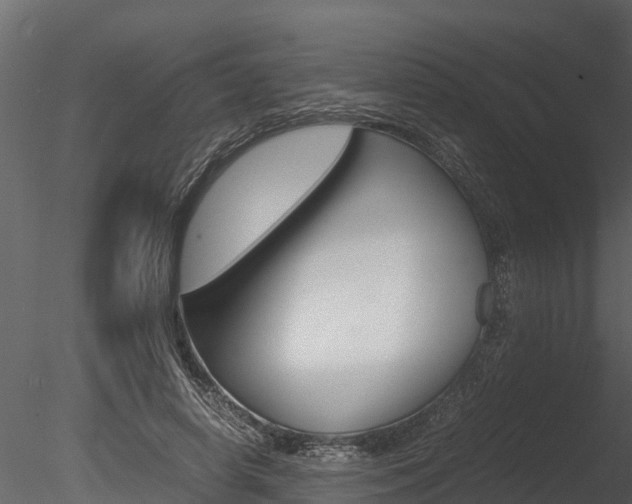 X0000085740642200703160904