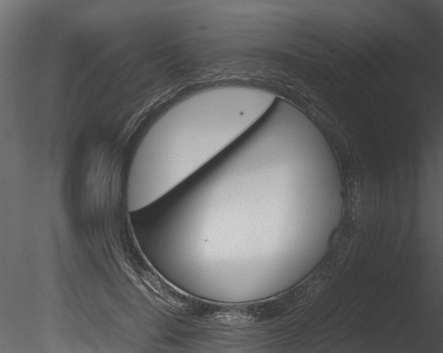 X0000085740644200703160904