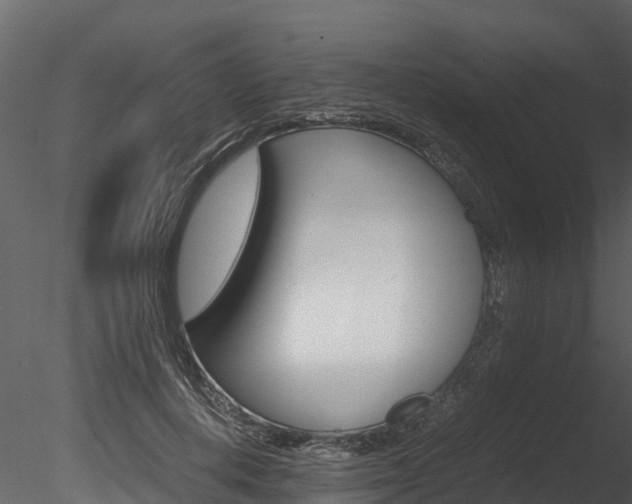 X0000085740648200703160904