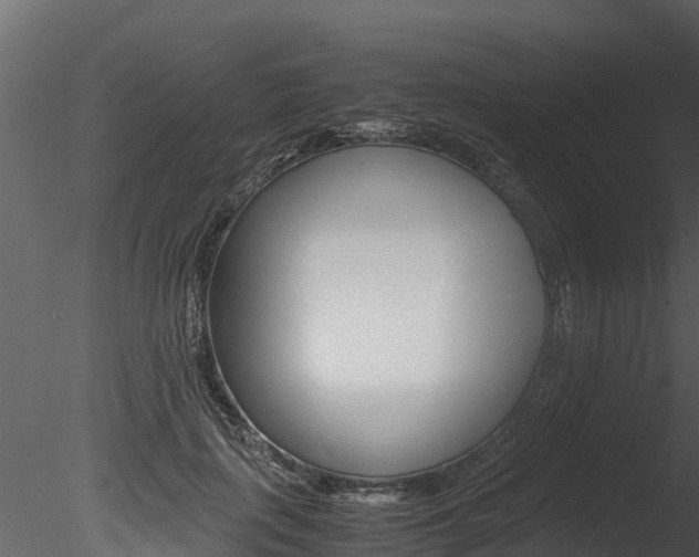 X0000085740651200703160904