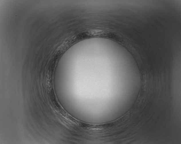 X0000085740653200703160904