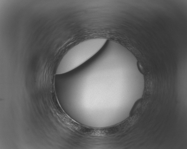 X0000085740656200703160904