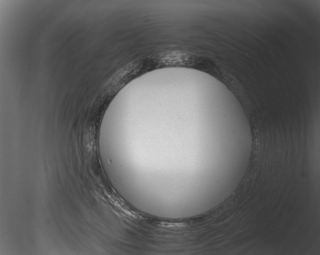 X0000085740665200703160904