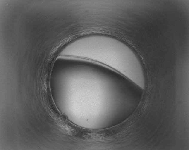 X0000085740681200703160904