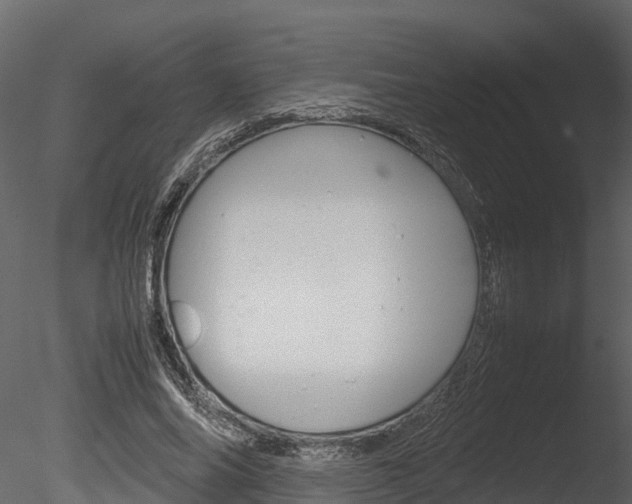 X0000085740686200703160904