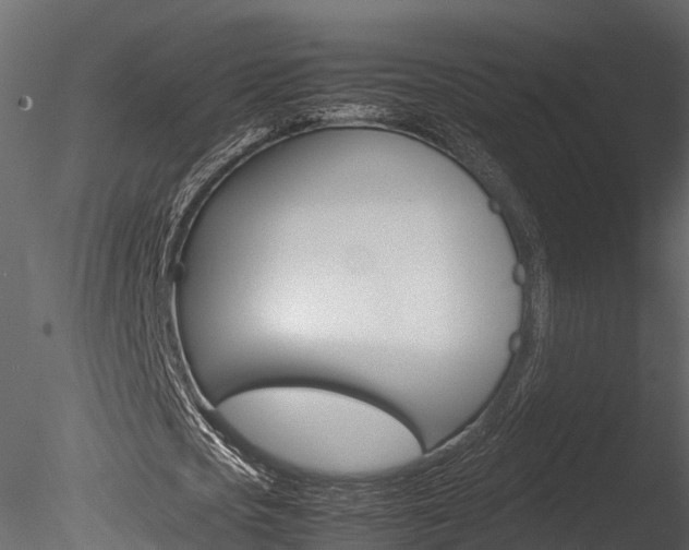 X0000085740721200703160902