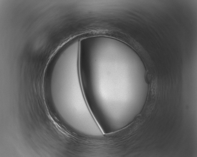 X0000085740722200703160902