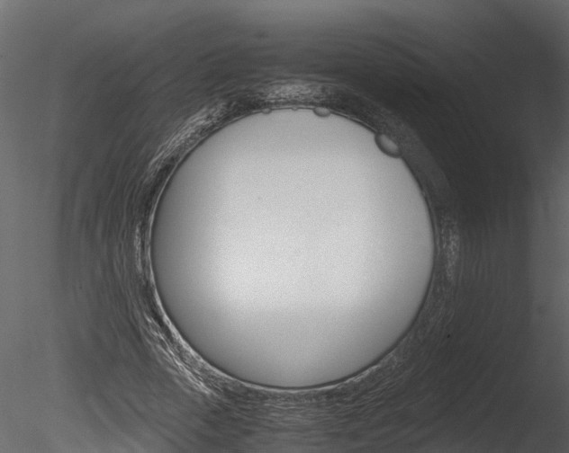 X0000085740729200703160902