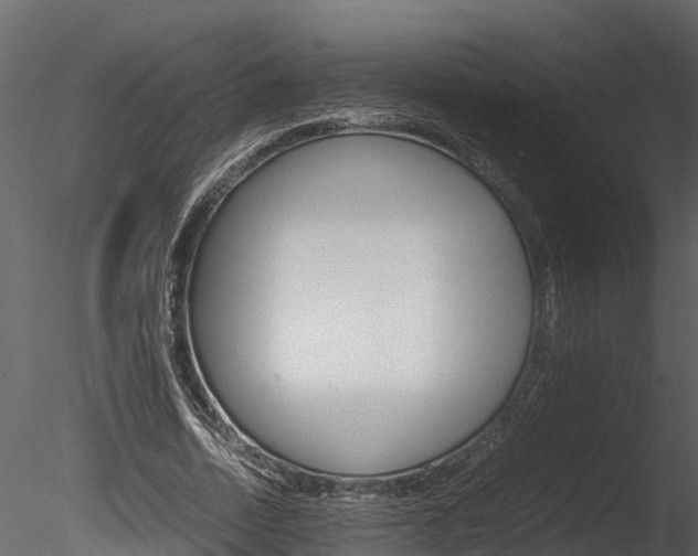 X0000085740730200703160902