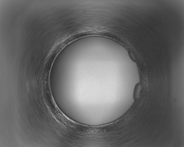 X0000085740736200703160902
