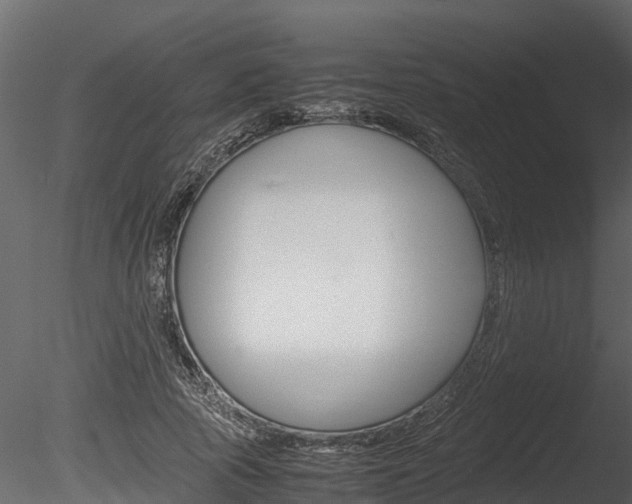 X0000085740737200703160902