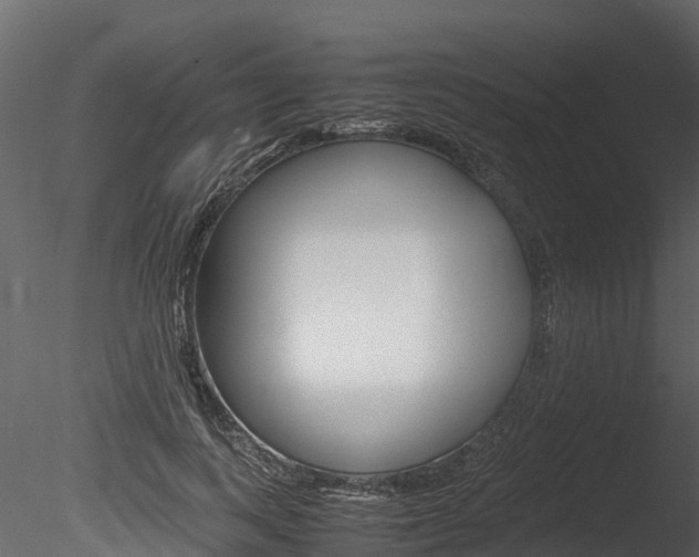 X0000085740743200703160902
