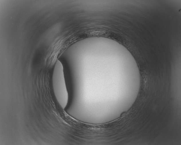 X0000085740745200703160903