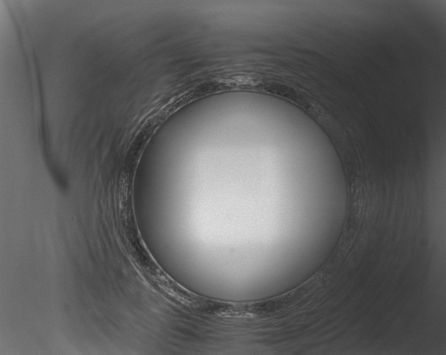 X0000085740747200703160903