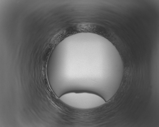 X0000085740749200703160903