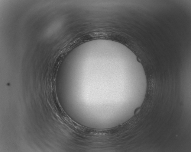 X0000085740751200703160903