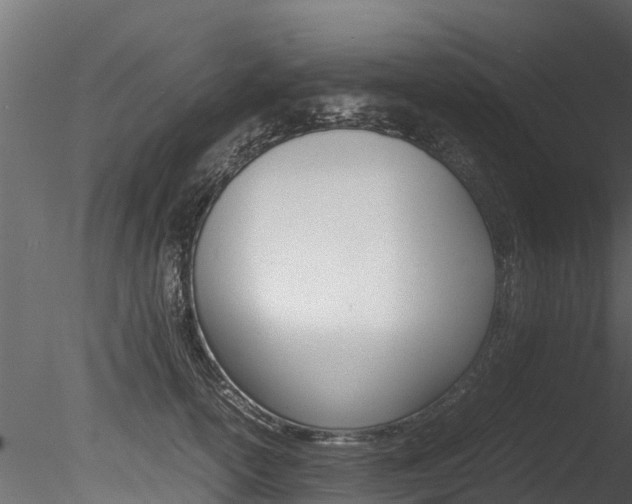 X0000085740754200703160903