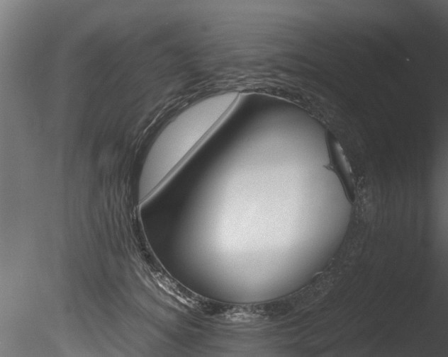 X0000085740756200703160903