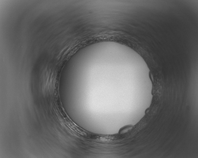 X0000085740758200703160903