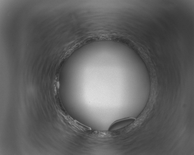 X0000085740768200703160903