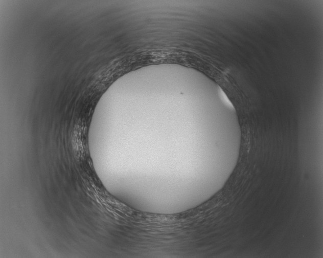 X0000085740770200703160902