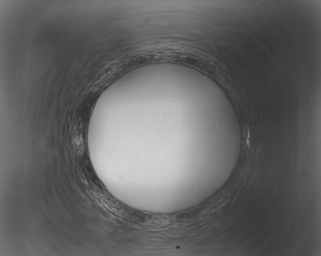 X0000085740771200703160902