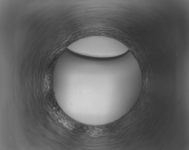 X0000085740772200703160902