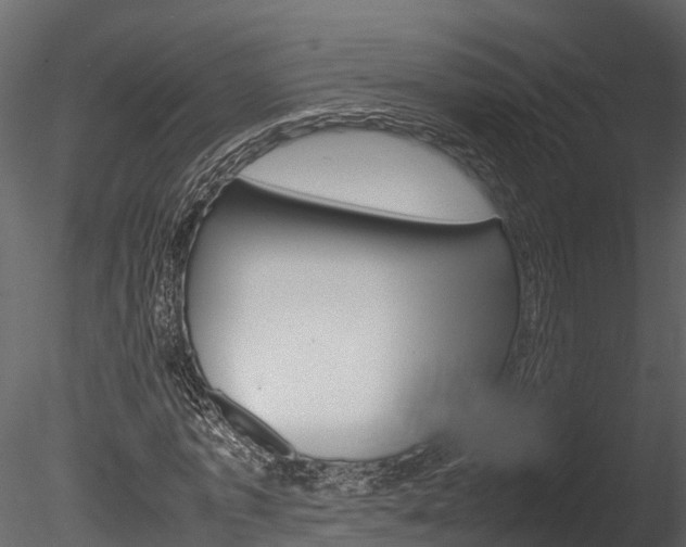 X0000085740773200703160902